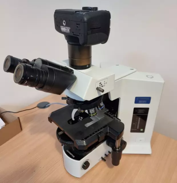 Olympus BX51 microscope with DIC and camera