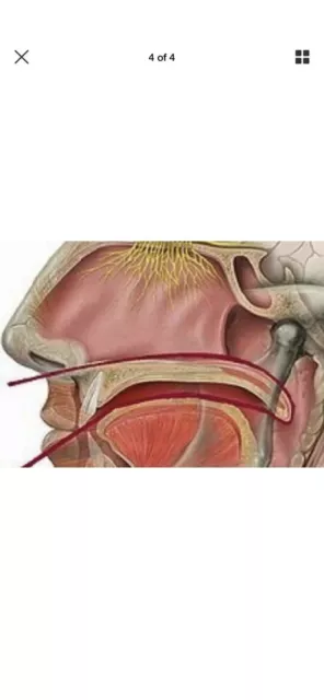 Sutra Neti Pack De 5 Tubos De Goma Para Limpieza Nasal/Sinusitis - Calidad... 3