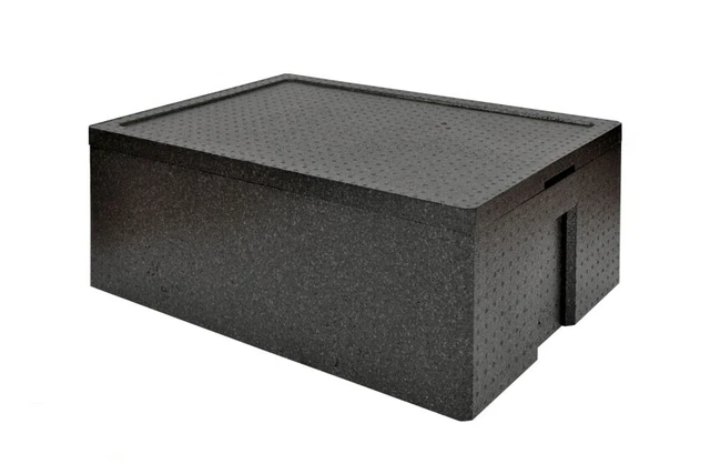 Thermo Future Box® Glacière à Chargement Frontal, boîte de Transport et boîte Isotherme, 65 litres, boîte Isotherme en polypropylène expansé