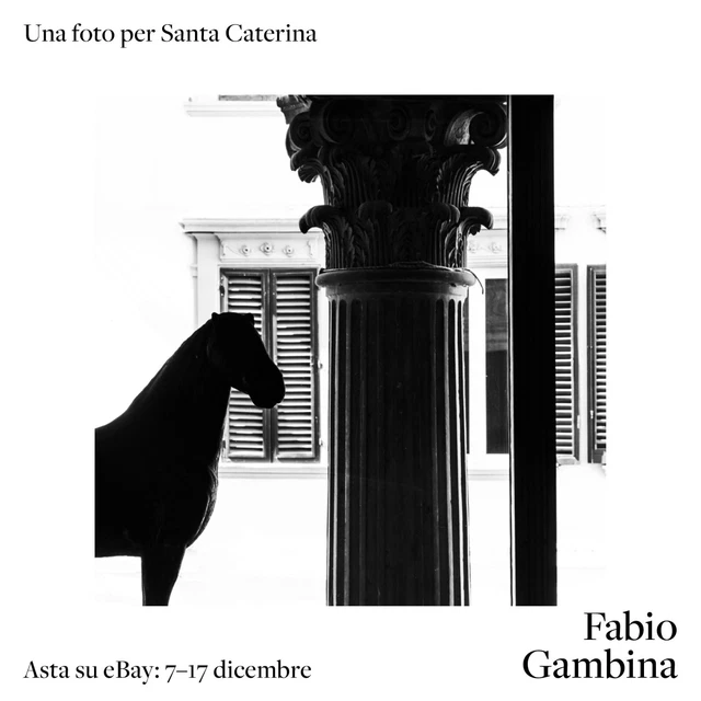 Simbiosi 13, F. GAMBINA per S. Caterina