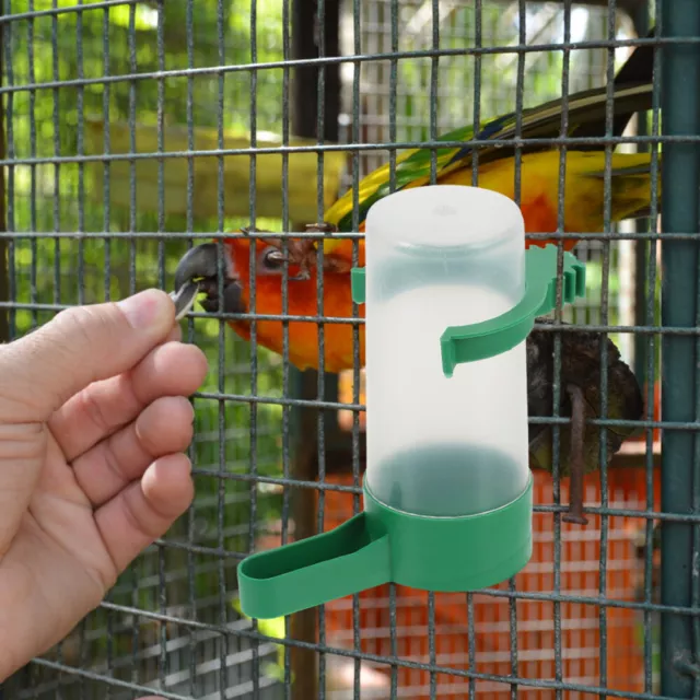 10 Pcs Verres À Boire En Abreuvoir Pour Oiseaux Pièces Tasse D'eau