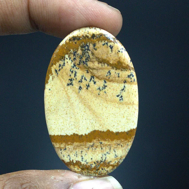 Cts  59.80 Natural Pretty Picture Jasper Cabochon Cab Oval Loose Gemstone 2