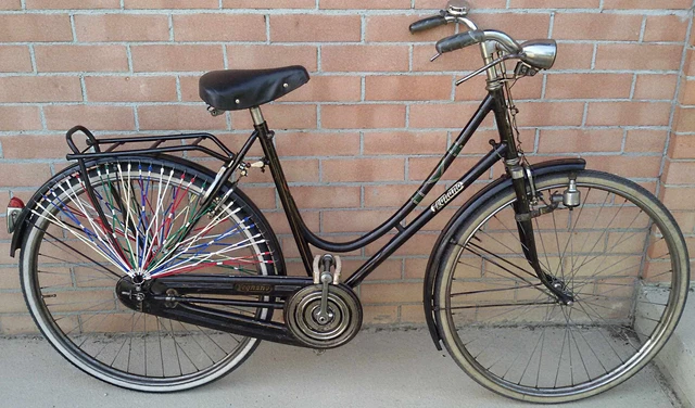 Bici Donna Bici Vecchie Con Freni A Bacchetta BICICLETTA DA DONNA