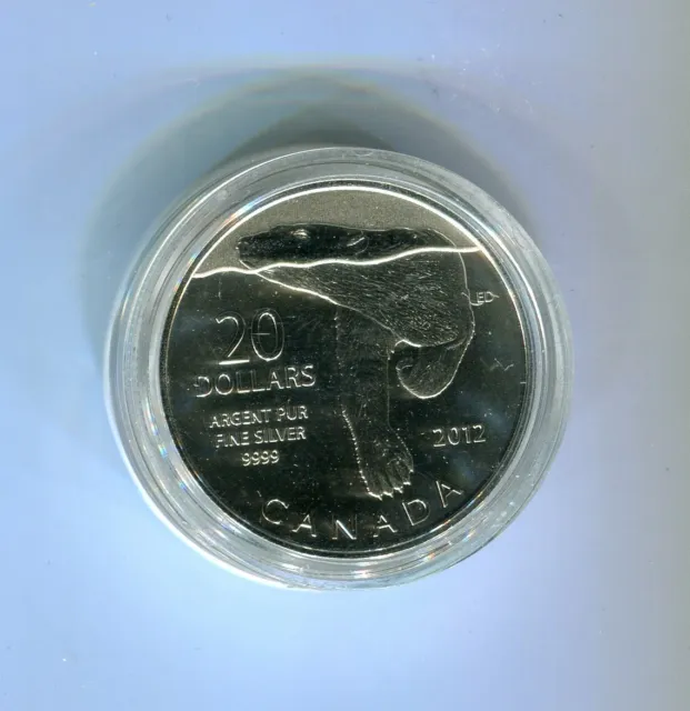 Kanada 20 Dollars 2012 schwimmender Eisbär 1/4 Unze Silber (M7914)