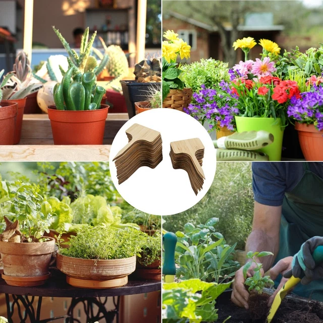KINGLAKE 150 Pezzi Di Marcatori Per Piante In Plastica Spessa: Etichette Bianche Per Orto E Giardino
