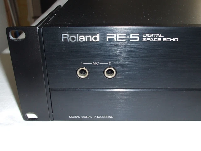Roland RE800 Digital Echo ほぐれ