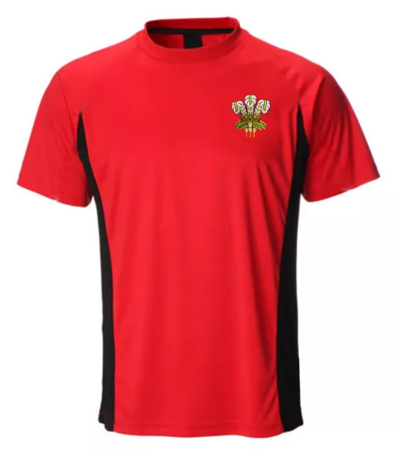 New Men's Wales Cymru Rugby Ich Dein Welsh Feathers Cooldry Poly T Shirt Top