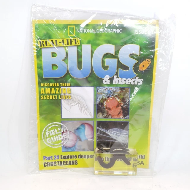 NATIONAL GEOGRAPHIC REAL Life Bugs & Insects #81 Millipede, India £10. ...