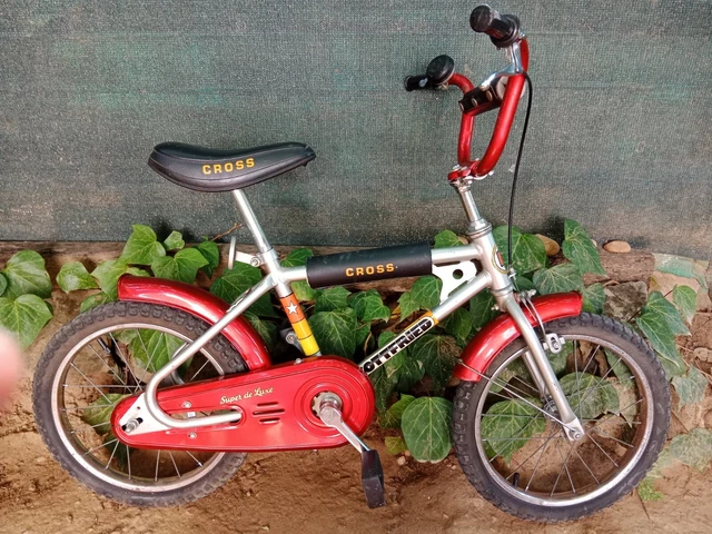 Velo gottfried online