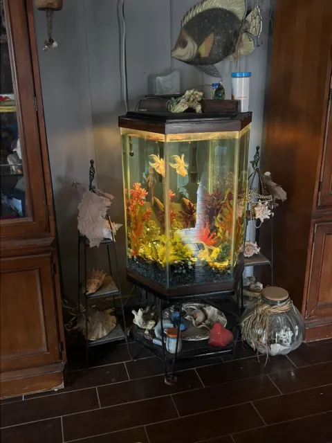 55 Gallon Hexagon  Complete Setup With Fish