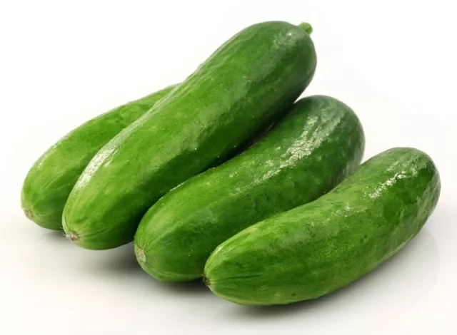Italian Mini Cucumber - Great Taste / Salads - Easy To Grow  - 20 Seeds Uk