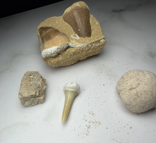 Intex Alligatore Gigante Cavalcabile 203x114 Cm | Leroy Merlin - Foto 2