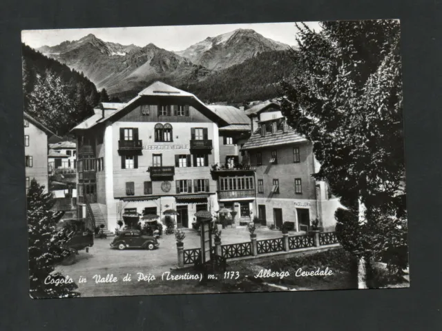 Cartolina Cogolo In Valle Di Pejo Trento Albergo Cevedale  Auto Fg Vg 1966