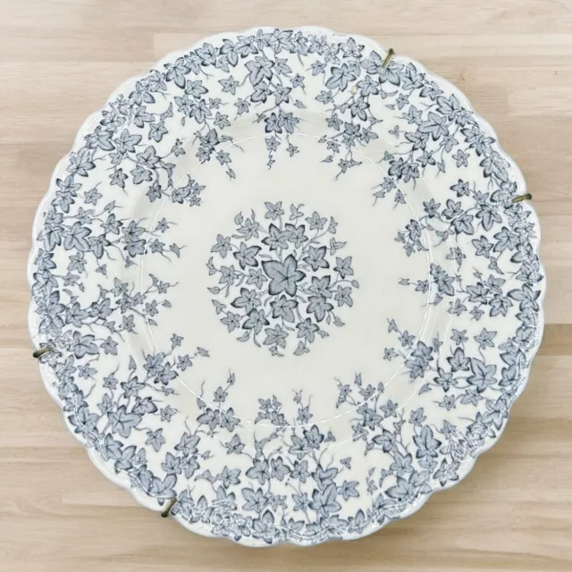 Vintage CROWN DUCAL Early English Ivy Blue & White 7 7/8" Scalloped Salad Plate
