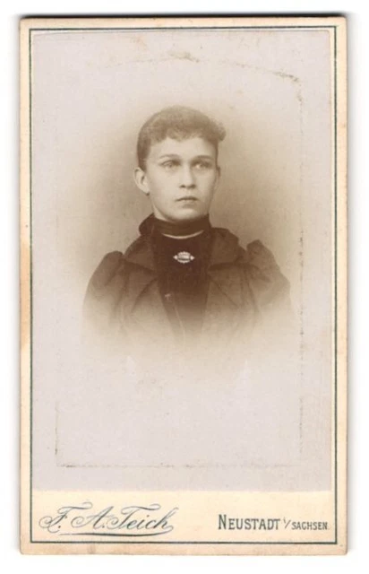 Fotografie F. A. Teich, Neustadt i. Sachsen, Langestrasse 145, Junge Dame mit z