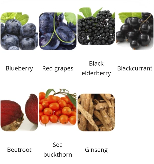 MAX FLAVON IMMUNITY booster Concentrated Berries antioxidants vitamins