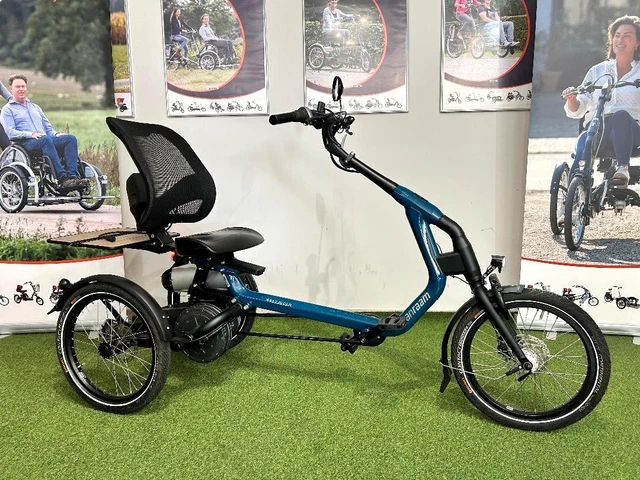 VAN RAAM EASYRIDER 3 therapeutisches Elektro Dreirad Modell 2025 Neu ...