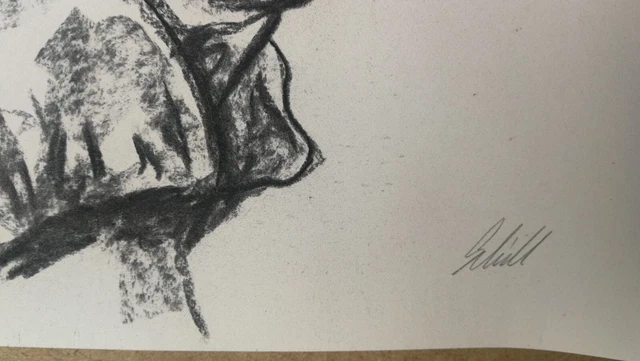 KOHLEZEICHNUNG ORIGINAL ZEITGENÖSSISCHE Kunst Zeichnung Tier Elefant