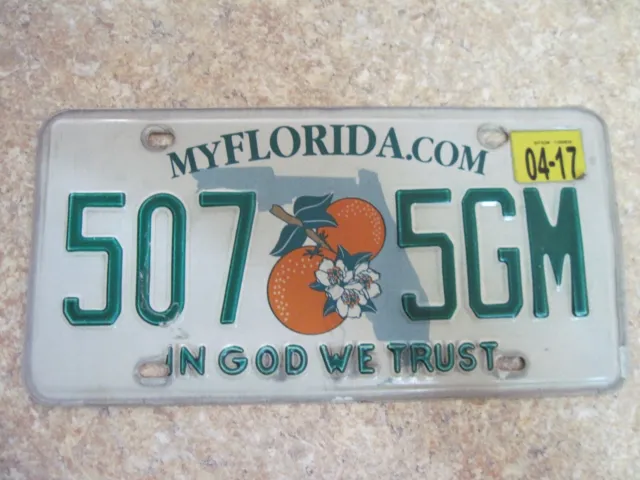 Florida 2017 Vehicle License Plate ~ "In God We Trust"~507 5GM~Garage~Wall Decor