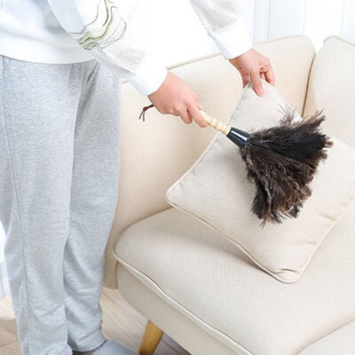 Fashion Feather Duster Struzzo Premium Spazzola Per Pulizia Morbida E Spessa Strumenti Per La Pulizia Della Polvere Manico In Legno Lungo Per Divano Per Mobili Per La Casa 