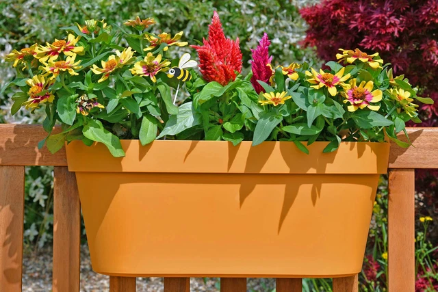 Geländertopf 50 cm in Mango Hängetopf Blumenkasten f. Balkon Geländer Gartenzaun