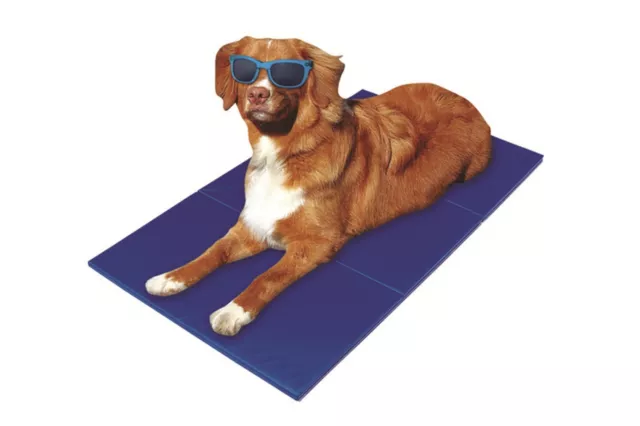 Selbstkühlende Mat Tapis de Refroidissement Plafond pour Chien Et Chat 90x50cm