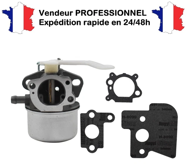 CARBURATEUR POUR BRIGGS Stratton 825 / 850 / 875 Series (avec starter