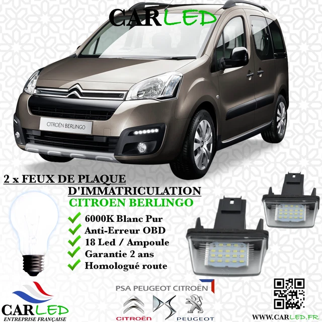 Plaque De Hayon (support Plaque) Pour Citroën Berlingo / Peugeot Partner - Réf. 9619491377 - Occasion Avec Garantie 60 Jours