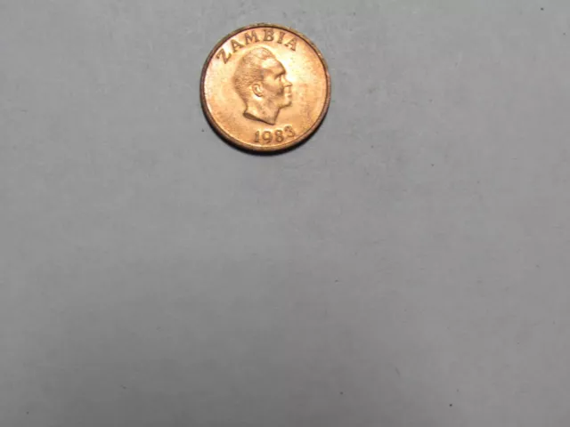 Old Zambia Coin - 1983 1 Ngwee Aardvark - Circulated, scratches