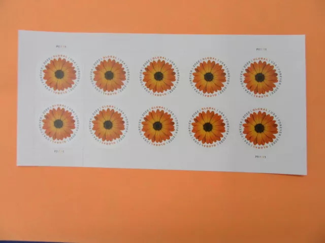 10 USPS 2022 Global Forever Stamps African Daisy - Peel & Stick (1 Sheet of 10)
