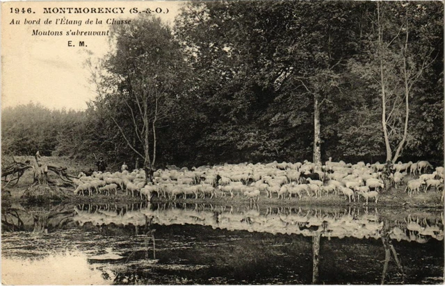 CPA MONTMORENCY - Au bord de l'Etang de la Chasse (107019)