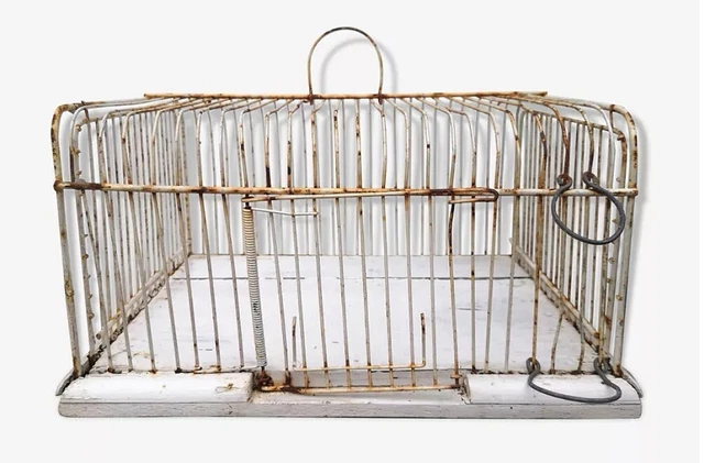 Ancienne Cage Oiseaux À VENDRE! - PicClick FR