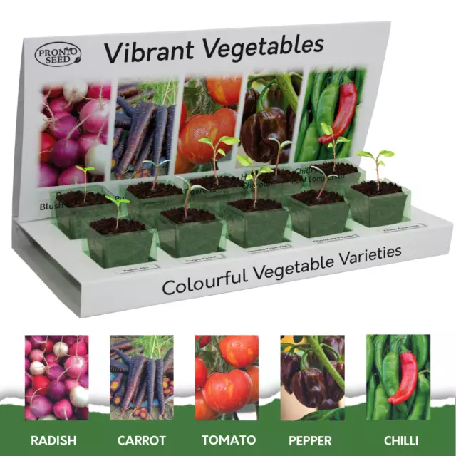 Vegetable Seeds Mix | Grow Your own Vegetables Kit | Gardening Gift