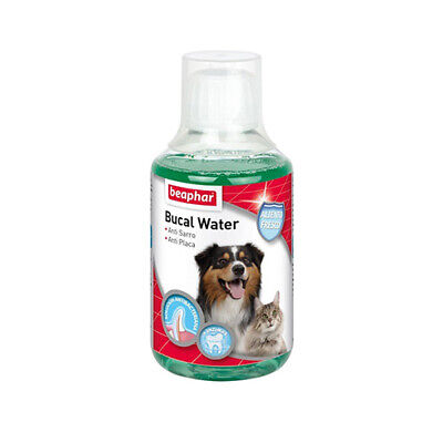 BEAPHAR Bucal Water para Perros y Gatos, 250 ml