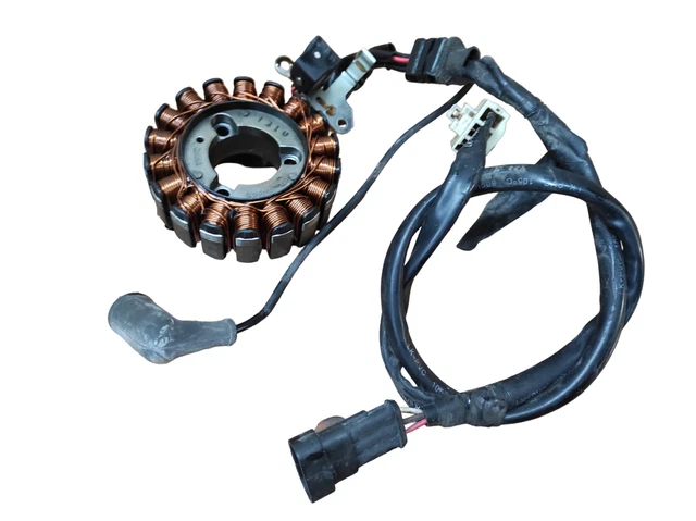 statore magnete Piaggio MP3 300 2010 2012 9103 KM