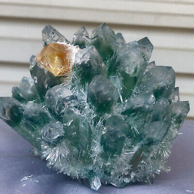 1.61LB   New Find Green Phantom Quartz Crystal Cluster Mineral Specimen Healing