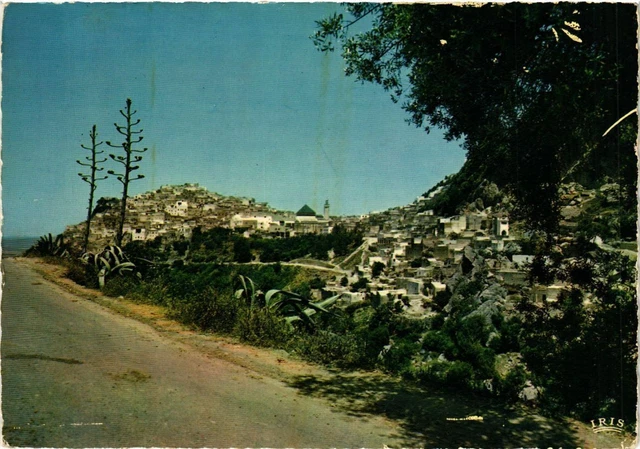 CPM AK MOROCCO MOULAY IDRISS. General View (342476)