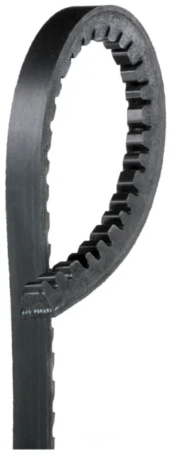 Accessory Drive Belt-GAS ACDelco 15530