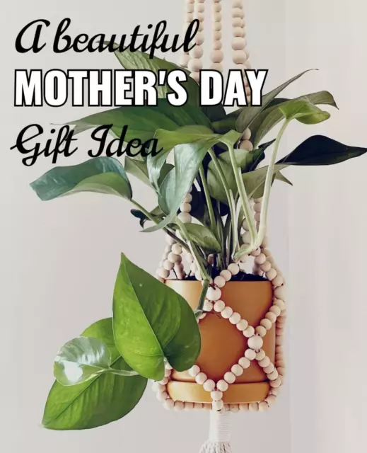 Plant Holder/Hanger - Hanging Planter - FREE SHIPPING!