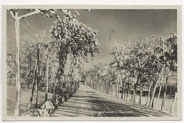 21/928 Ak Erzgebirgsstrasse Im Raureif - Niedersedlitz Luga Jahr 1930