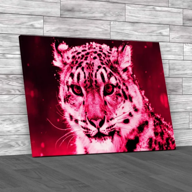 Captivating Snow Leopard Eyes Stunning Beauty Pink Canvas Print Large Picture