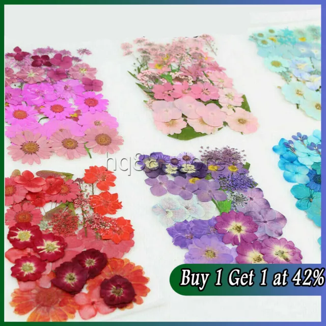 DIY for Resin Jewelry Making Decors Real Dried Press Flowers Candle Making Craft