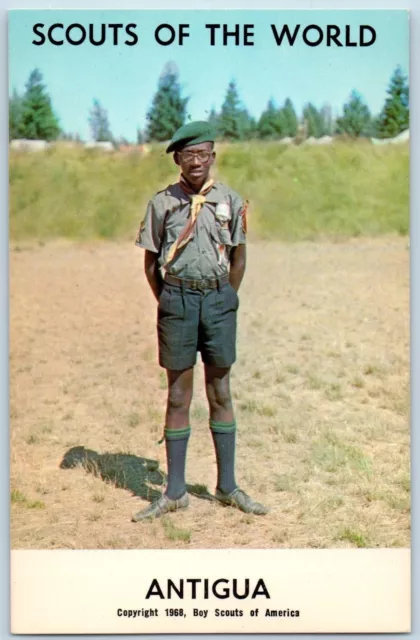 c1968's Antigua Scouts Of The World Boy Scouts Of America Grove Vintage Postcard