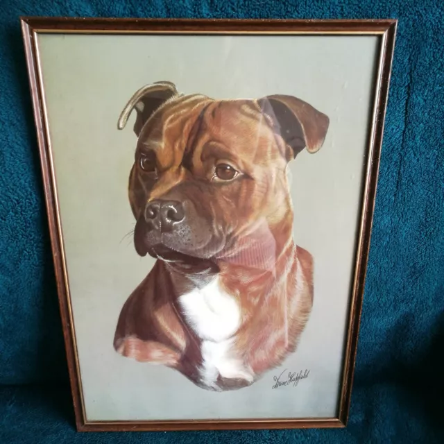 Staffordshire Bull Terrier Framed PRINT by Brian Hupfield RED DOG Staffie 16x13"