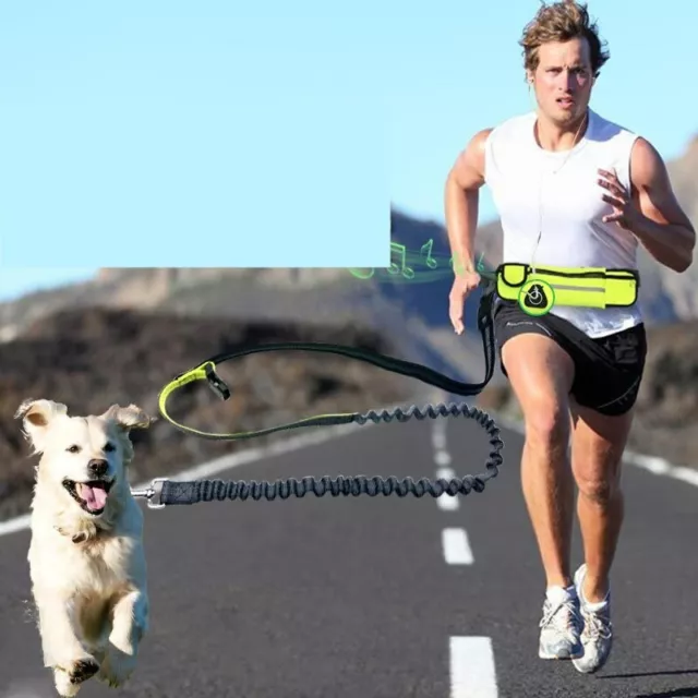 Correa manos libres para correr perro con bolsillo en la cintura cinturón ajus