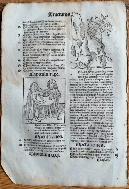 Original Post Inkunabel-Blatt Hortus Sanitatis Mineralien (F) Venedig 1511