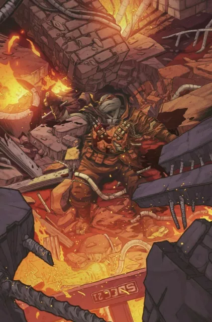 Teenage Mutant Ninja Turtles Tmnt Last Ronin #3 Sdcc 2021 Idw Exclusive