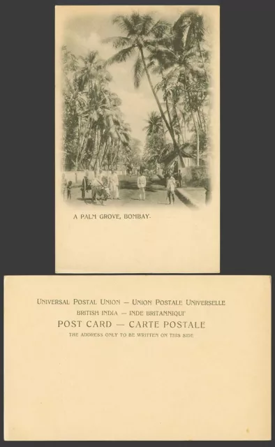 India Old U.B. Postcard A Palm Grove Street Scene Bombay Palm Trees Bullock Cart