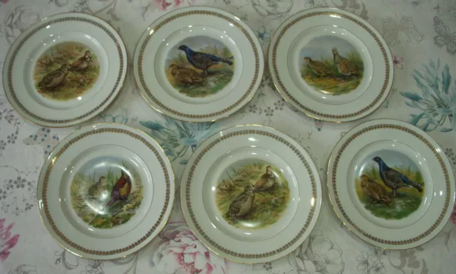 6 Assiettes Plates Porcelaine P L France - Faisans - dorure - Vintage- RARE