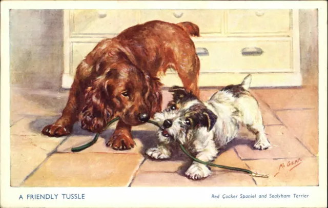 M Gear Red Cocker Spaniel and Sealyham Terrier Dogs Vintage Postcard